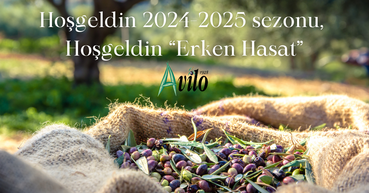 Hoşgeldin 