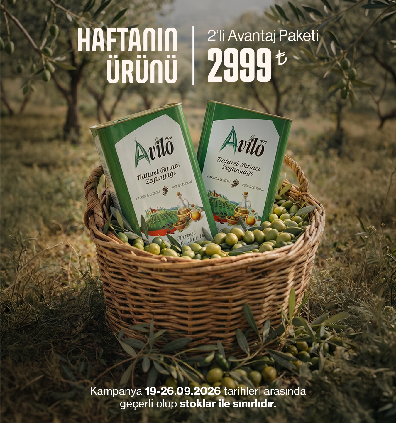 5 Lt Avilo Soğuk Sıkım Natürel Birinci Zeytinyağı - 2'li Avantaj Paketi