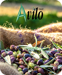 Avilo Youtube'da!
