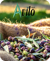 Avilo Youtube'da!